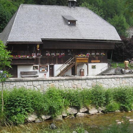 Ferienwohnung Todtmoos Bagian luar foto